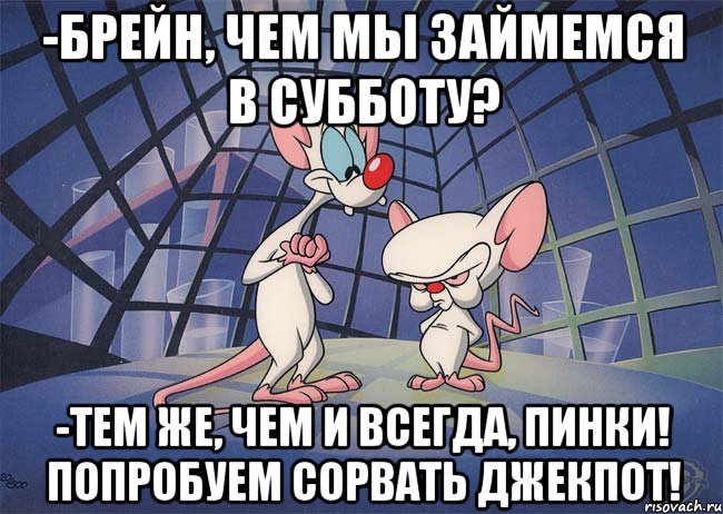 -Брейн, чем мы займемся в субботу? -тем же, чем и всегда, пинки! Попробуем сорвать джекпот!, Мем ПИНКИ И БРЕЙН