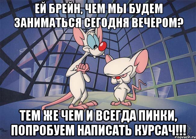 Ей Брейн, чем мы будем заниматься сегодня вечером? Тем же чем и всегда Пинки, попробуем написать курсач!!!