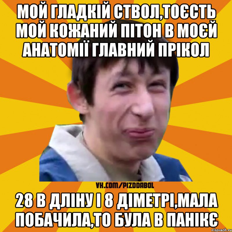 Мой гладкій ствол,тоєсть мой кожаний пітон в моєй анатомії главний прікол 28 в дліну і 8 діметрі,мала побачила,то була в панікє, Мем Типичный врунишка