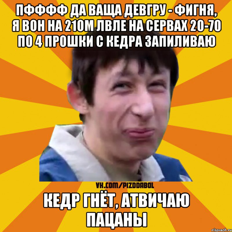 пфффф да ваща девгру - фигня, я вон на 21ом лвле на сервах 20-70 по 4 прошки с кедра запиливаю кедр гнёт, атвичаю пацаны, Мем Типичный врунишка