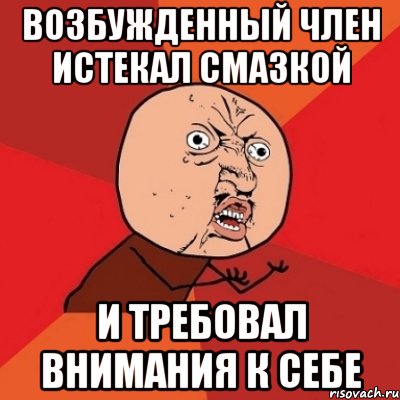 Возбужденный член истекал смазкой и требовал внимания к себе, Мем Почему