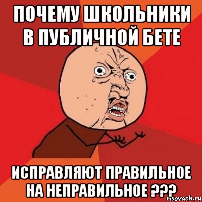 Почему школьники в публичной бете исправляют правильное на неправильное ???, Мем Почему