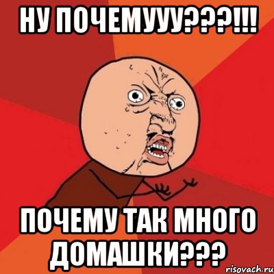 Ну почемууу???!!! Почему так много домашки???, Мем Почему