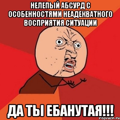 Нелепый абсурд с особенностями неадекватного восприятия ситуации да ты ебанутая!!!, Мем Почему