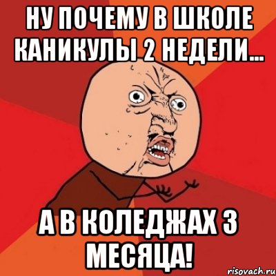 Ну почему в школе каникулы 2 недели... а в коледжах 3 месяца!, Мем Почему