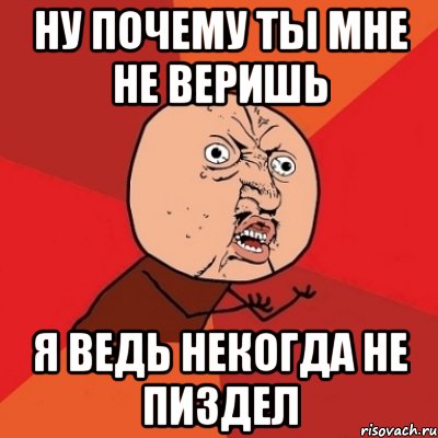 Ну почему ты мне не веришь я ведь некогда не пиздел, Мем Почему