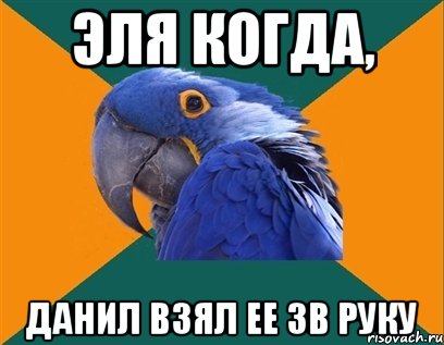 Эля когда, данил взял ее зв руку, Мем Попугай параноик