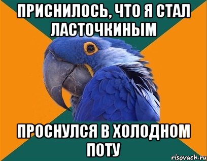 Приснилось, что я стал ласточкиным проснулся в холодном поту, Мем Попугай параноик