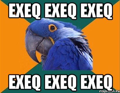 exeq exeq exeq exeq exeq exeq, Мем Попугай параноик