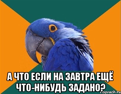  А что если на завтра ещё что-нибудь задано?, Мем Попугай параноик