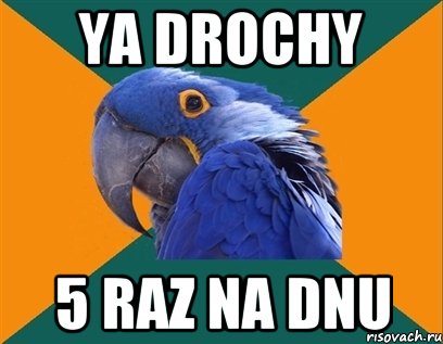 YA DROCHY 5 RAZ NA DNU, Мем Попугай параноик