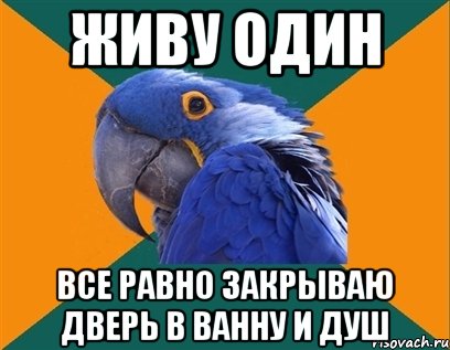 Живу один Все равно закрываю дверь в ванну и душ, Мем Попугай параноик