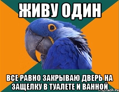 Живу один Все равно закрываю дверь на защелку в туалете и ванной, Мем Попугай параноик