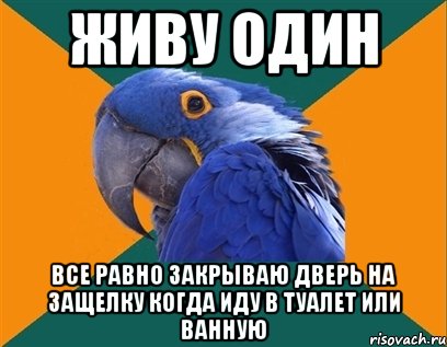 Живу один Все равно закрываю дверь на защелку когда иду в туалет или ванную, Мем Попугай параноик