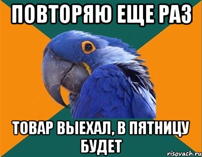 Повторяю еще раз Товар выехал, в пятницу будет, Мем Попугай параноик