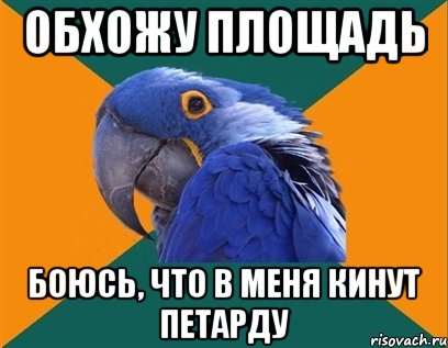 обхожу площадь боюсь, что в меня кинут петарду, Мем Попугай параноик