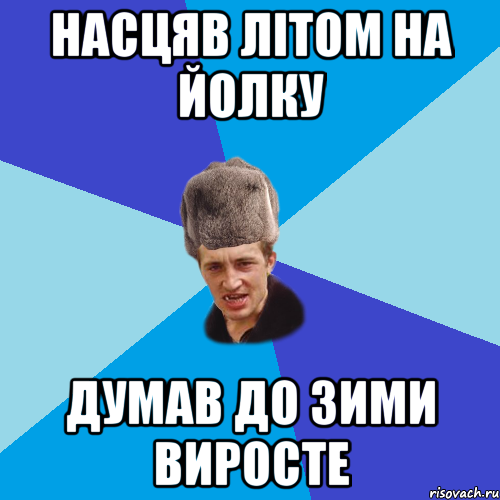 насцяв літом на йолку думав до зими виросте, Мем Празднчний паца