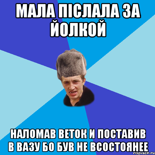 МАЛА ПІСЛАЛА ЗА ЙОЛКОЙ НАЛОМАВ ВЕТОК И ПОСТАВИВ В ВАЗУ БО БУВ НЕ ВСОСТОЯНЕЕ, Мем Празднчний паца