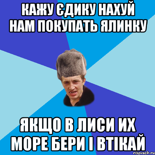 Кажу єдику нахуй нам покупать ялинку Якщо в лиси их море бери і втікай, Мем Празднчний паца