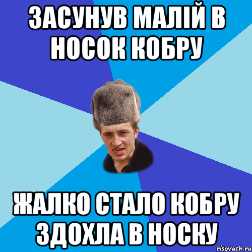 засунув малій в носок кобру жалко стало кобру здохла в носку, Мем Празднчний паца