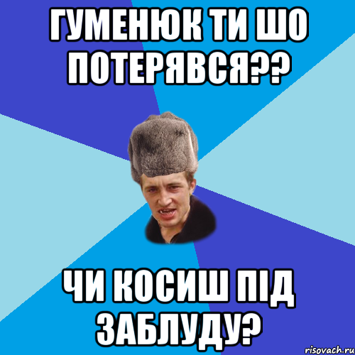 гуменюк ти шо потерявся?? чи косиш під заблуду?, Мем Празднчний паца