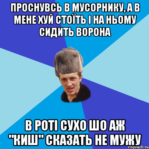 ПРОСНУВСЬ В МУСОРНИКУ, А В МЕНЕ ХУЙ СТОЇТЬ І НА НЬОМУ СИДИТЬ ВОРОНА В РОТІ СУХО ШО АЖ "КИШ" СКАЗАТЬ НЕ МУЖУ, Мем Празднчний паца