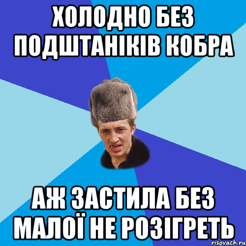 холодно без подштаніків кобра аж застила без малої не розігреть, Мем Празднчний паца