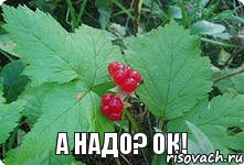 А надо? Ок!, Комикс Привет