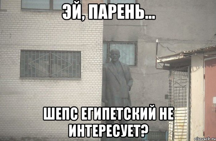  шепс египетский не интересует?