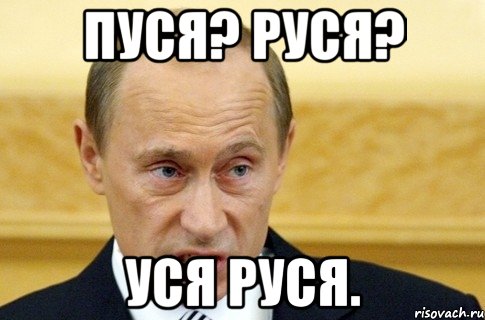 Пуся? Руся? Уся Руся., Мем путин