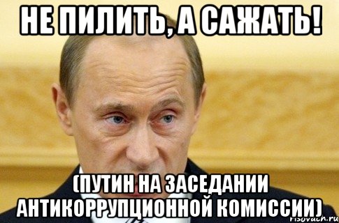 НЕ ПИЛИТЬ, А САЖАТЬ! (Путин на заседании антикоррупционной комиссии), Мем путин