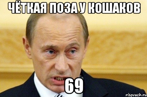 чёткая поза у кошаков 69, Мем путин