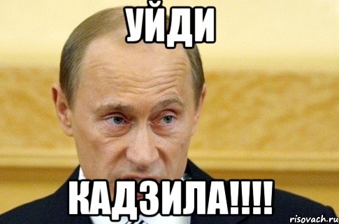 УЙДИ КАДЗИЛА!!!!, Мем путин