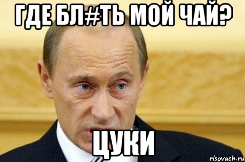 ГДЕ БЛ#ТЬ МОЙ ЧАЙ? ЦУКИ, Мем путин