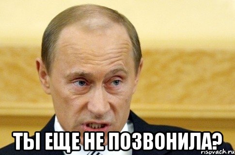  Ты еще не позвонила?, Мем путин