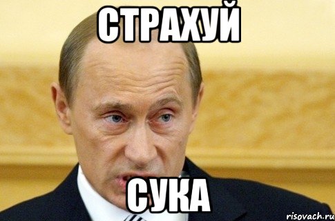 страхуй сука, Мем путин