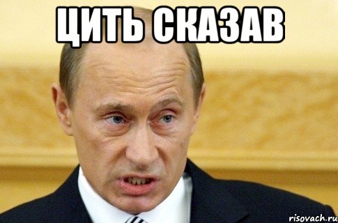 цить сказав , Мем путин