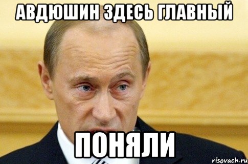 Авдюшин здесь главный Поняли, Мем путин