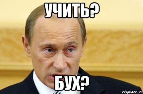 учить? бух?, Мем путин