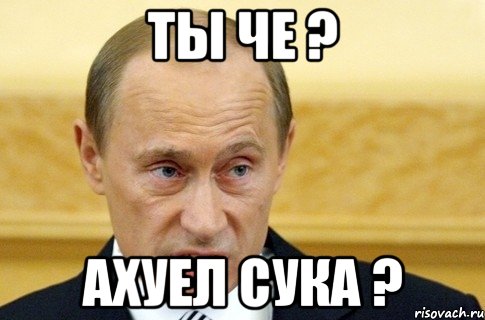 ты че ? АХУЕЛ СУКА ?, Мем путин