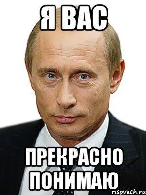 Я вас Прекрасно Понимаю, Мем Путин