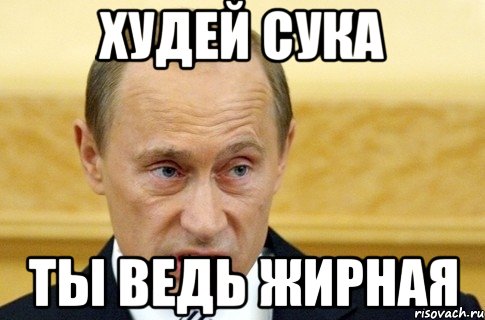 Худей сука Ты ведь жирная, Мем путин