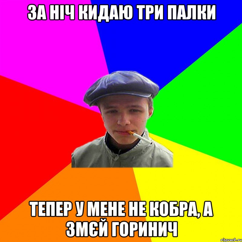 за ніч кидаю три палки тепер у мене не кобра, а змєй горинич, Мем реальний мужичяра