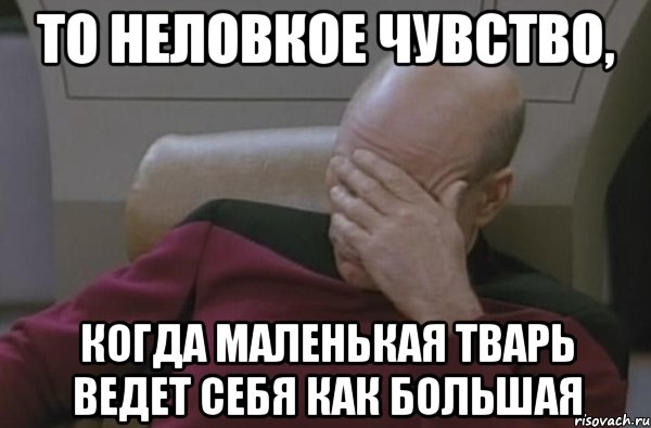 то неловкое чувство, когда маленькая тварь ведет себя как большая, Мем  Рукалицо