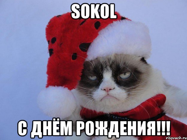 SOKOL С Днём рождения!!!, Мем   С нг кароч