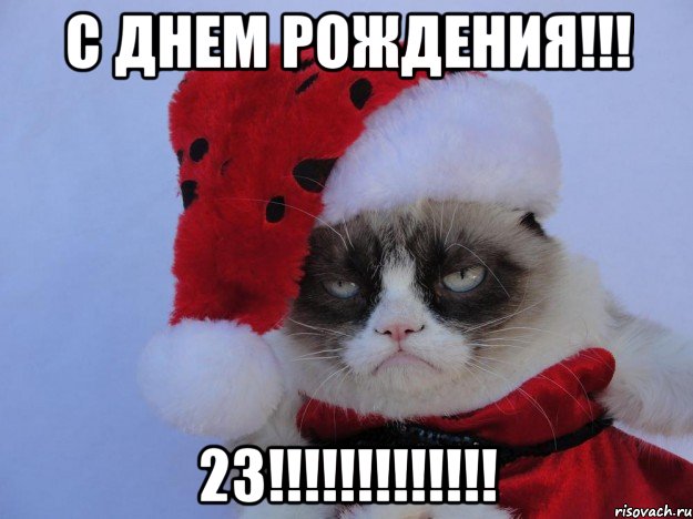 С ДНЕМ РОЖДЕНИЯ!!! 23!!!!!!!!!!!!!, Мем   С нг кароч