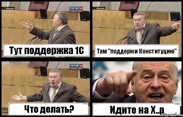 Тут поддержка 1С Там "поддержи Конституцию" Что делать? Идите на Х..р, Комикс с Жириновским