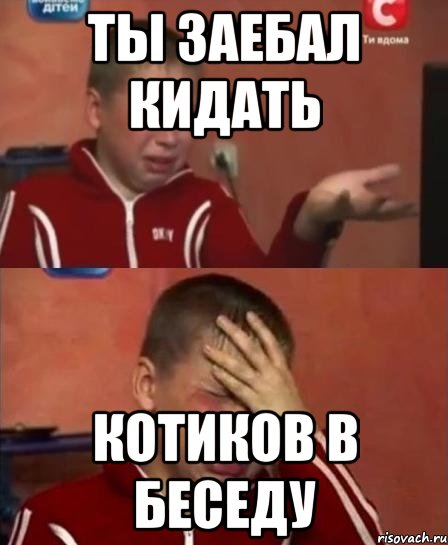 Ты заебал кидать котиков в беседу, Комикс   Сашко Фокин