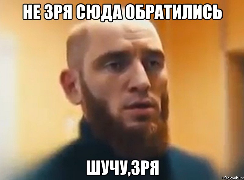 Не зря сюда обратились Шучу,зря, Мем Шучу