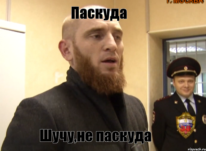 Паскуда Шучу,не паскуда, Мем Шучу